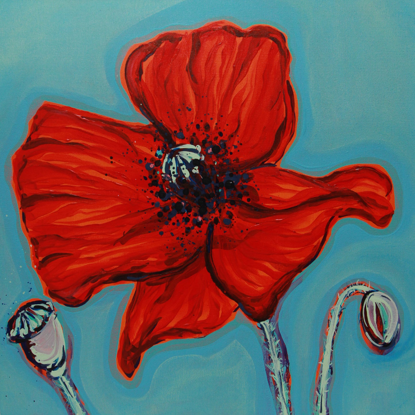 Le Coqueliot Poppy 2018