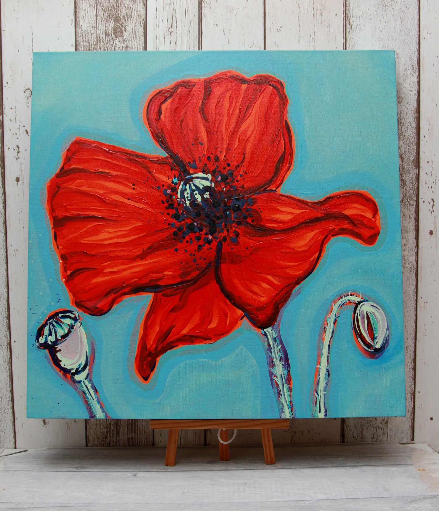 Le Coqueliot Poppy 2018