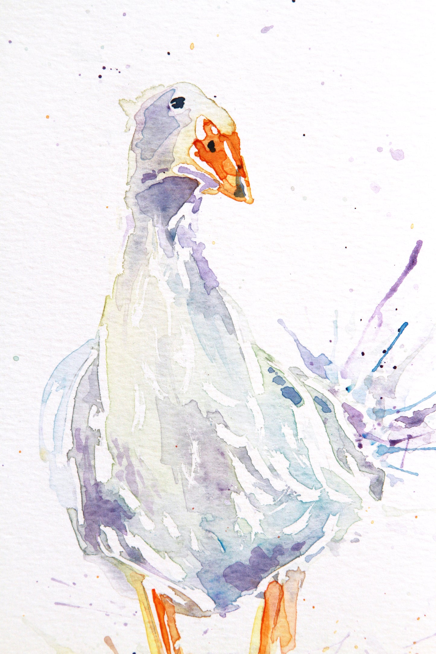 GOOSE (#3) watercolour