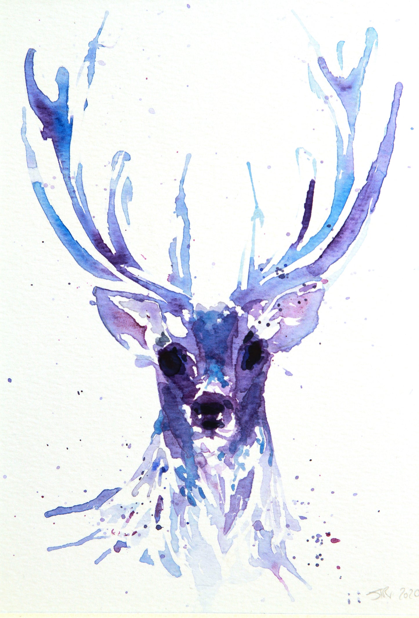 STAG HEAD Watercolour (#3)
