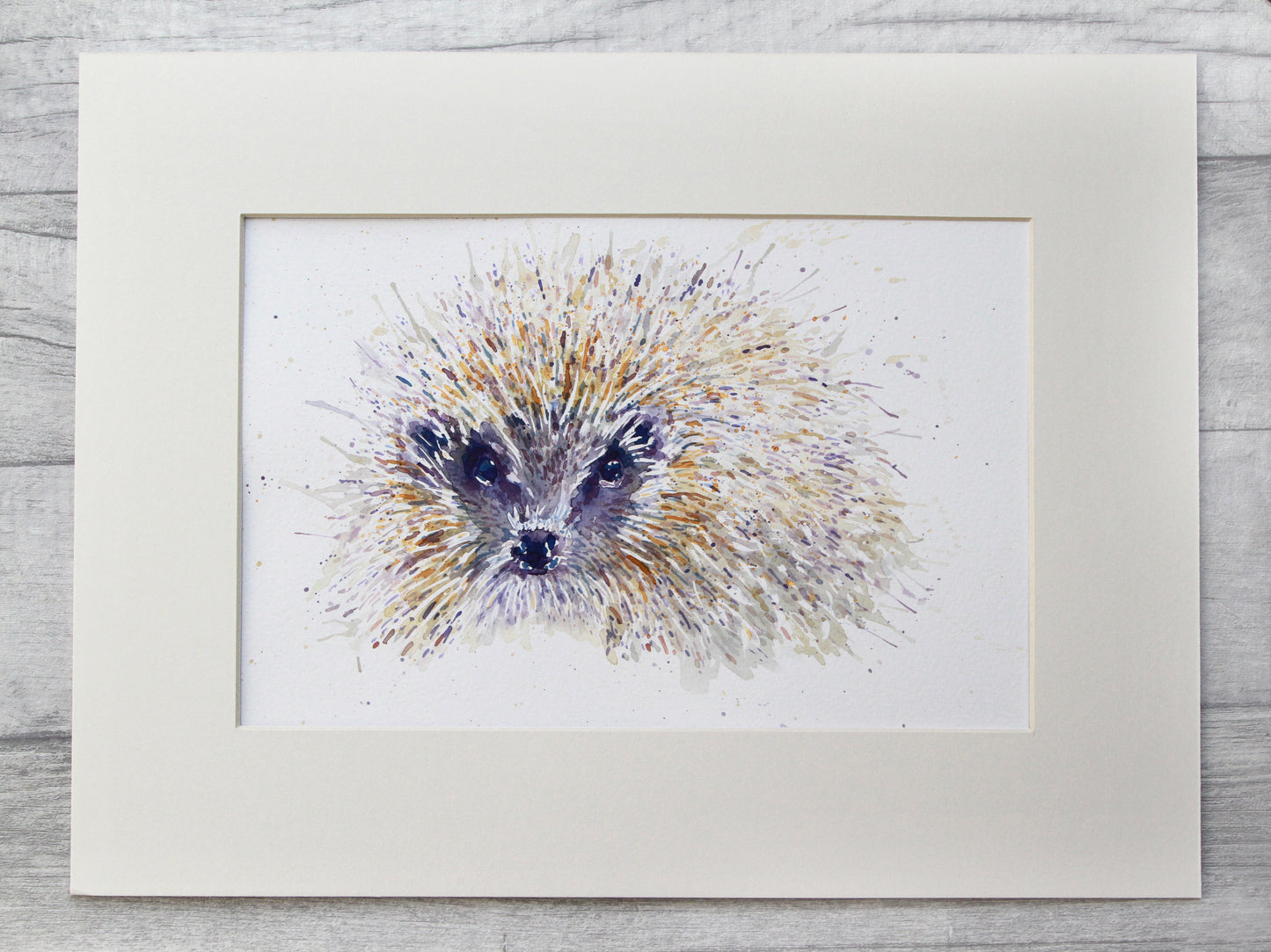 HEDGEHOG #Four Watercolour