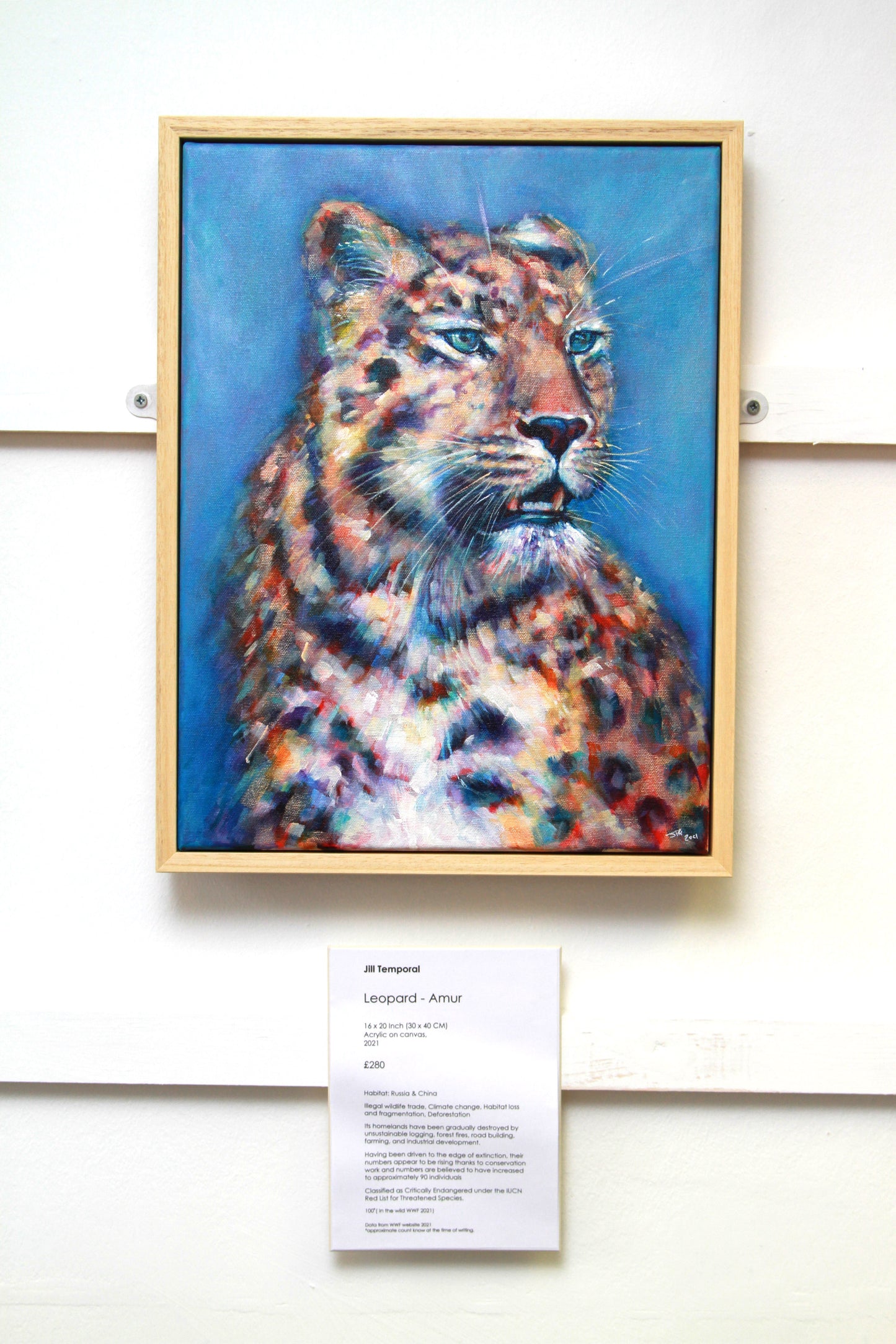 Leopard - Amur