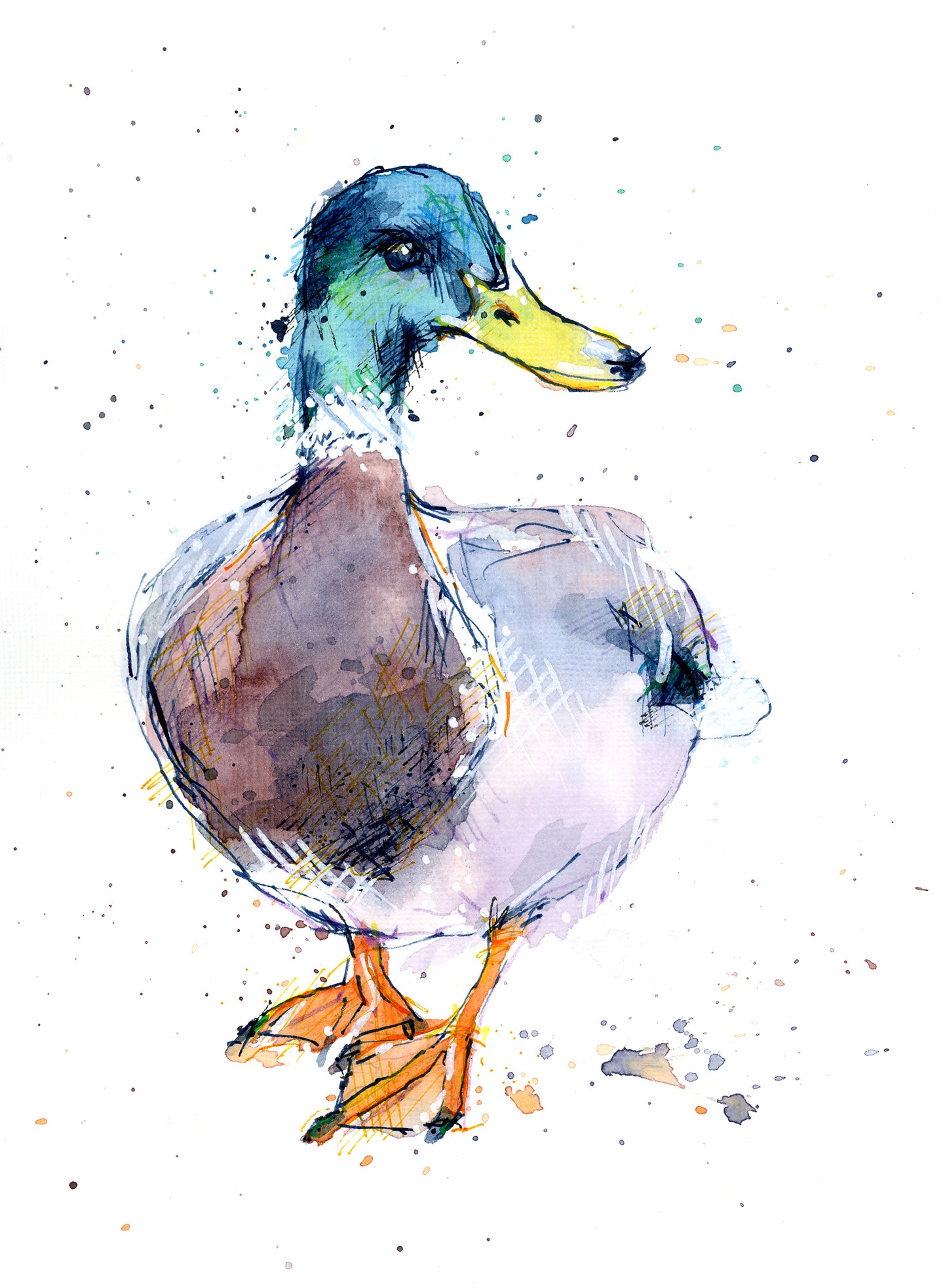 Quack Quack