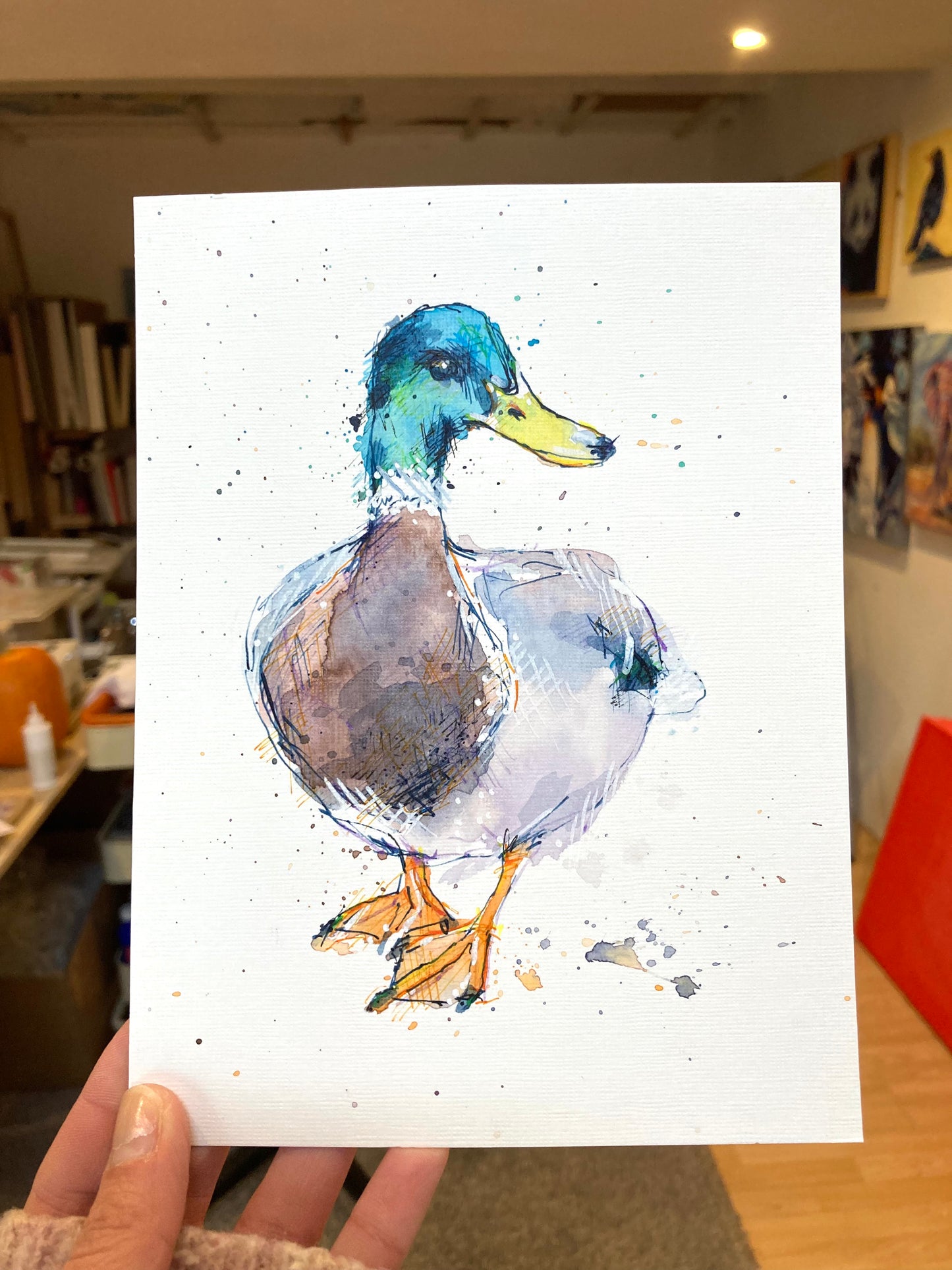 Quack Quack