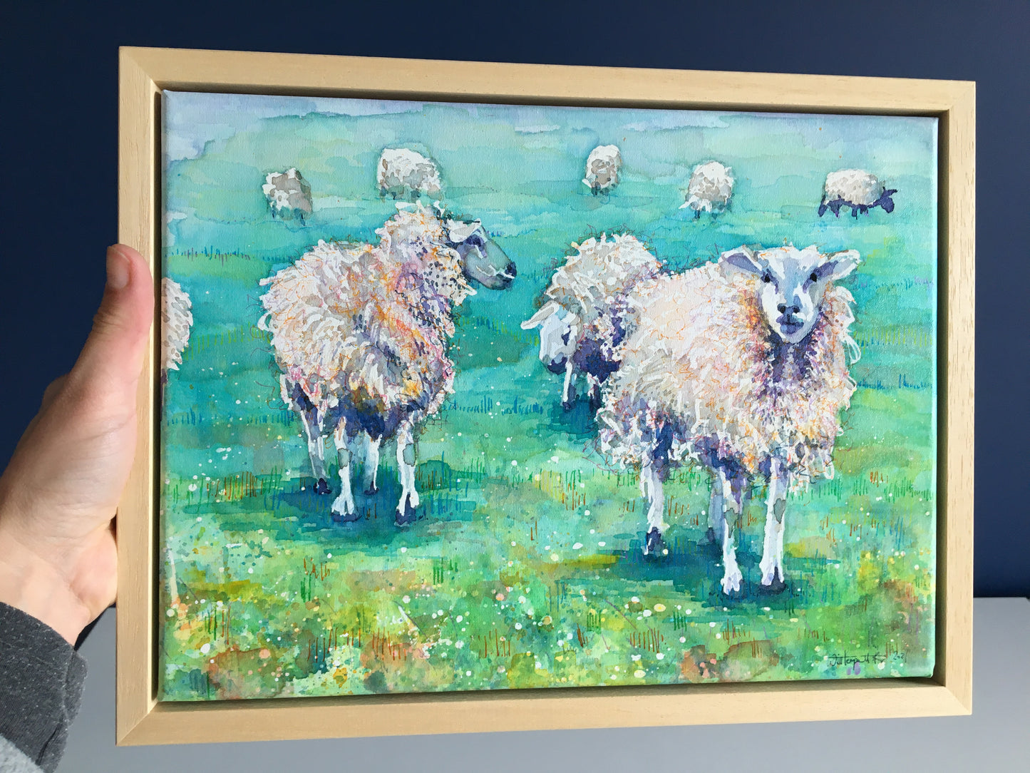 All Sheep’s and sizes