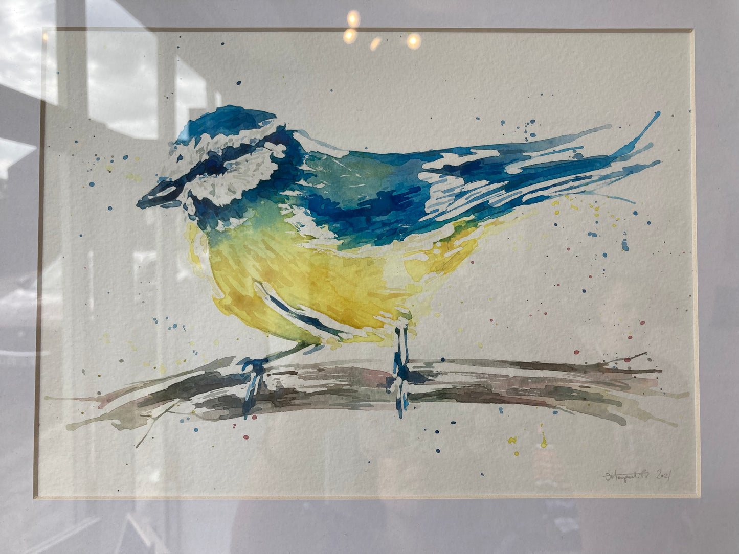 Mr Blue Sky Blue Tit in white frame