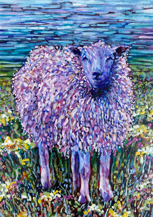 A sheep
