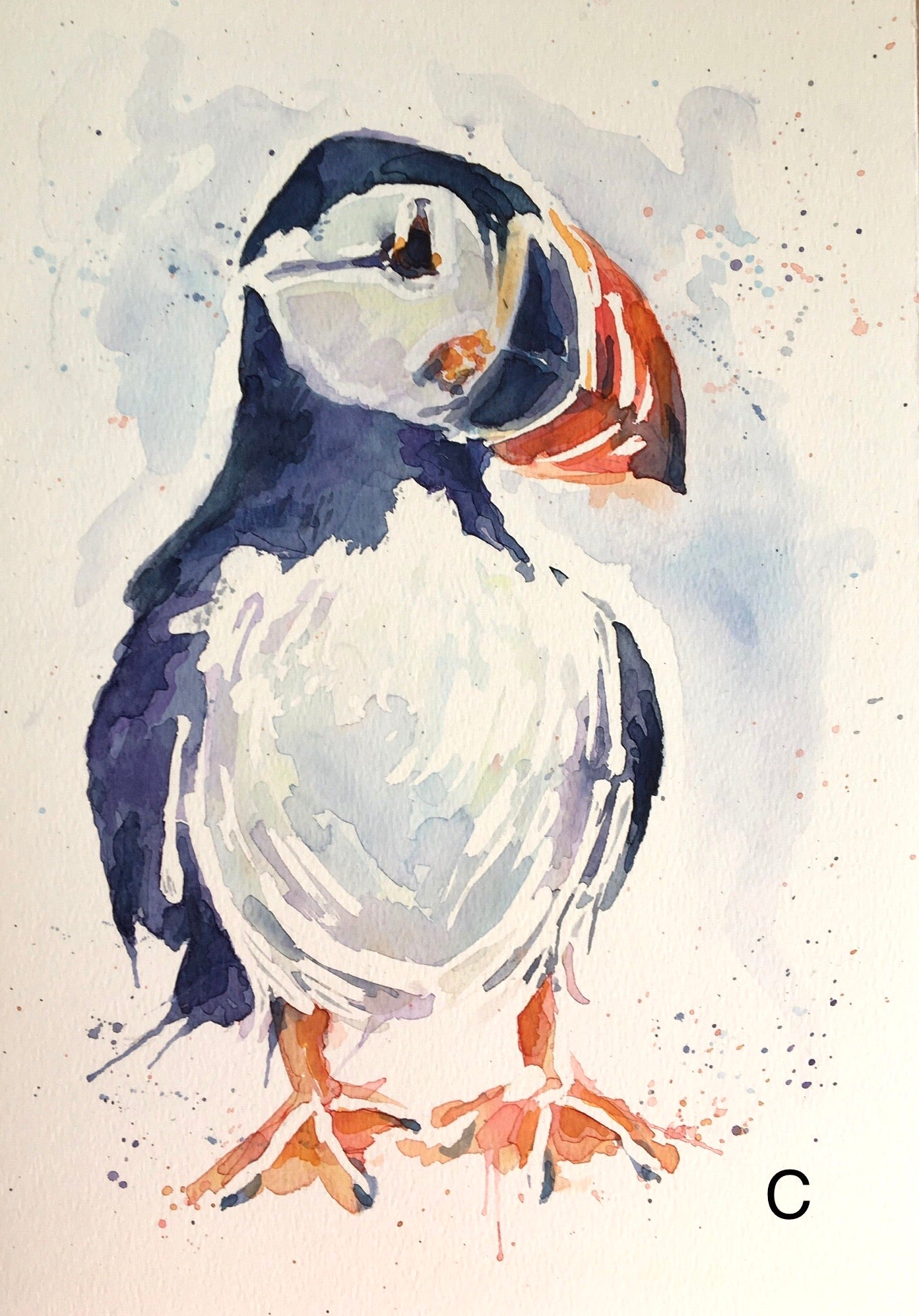 Splashing puffin watercolour painting