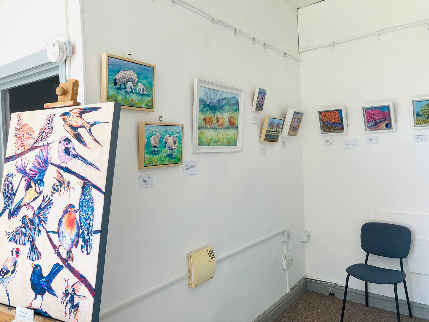 Three Cows went to moo a Meadow