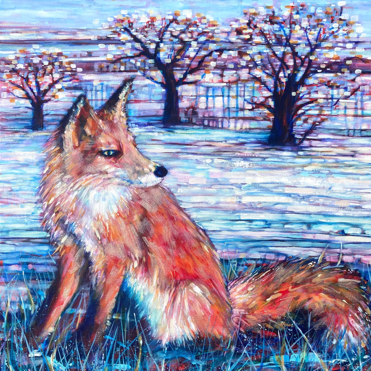 Frosty fox