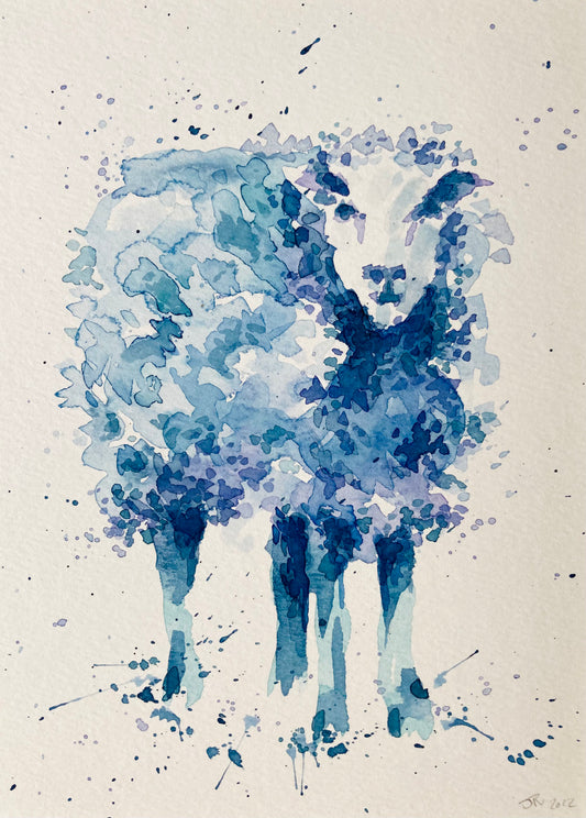 Blue sheep