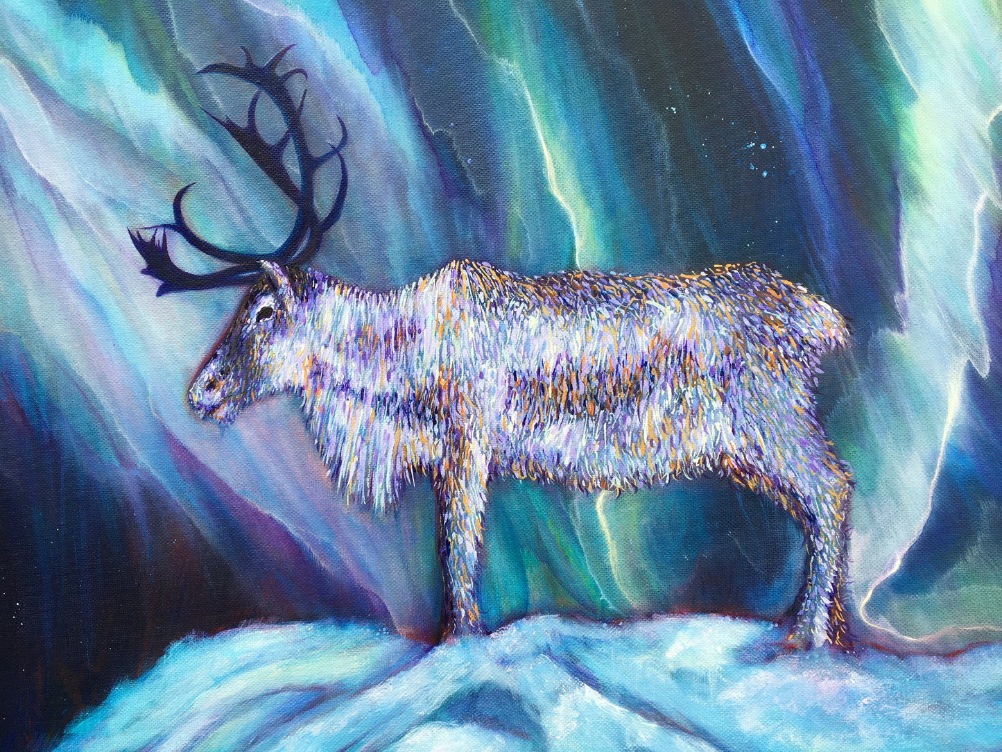 Aurora Borealis Caribou