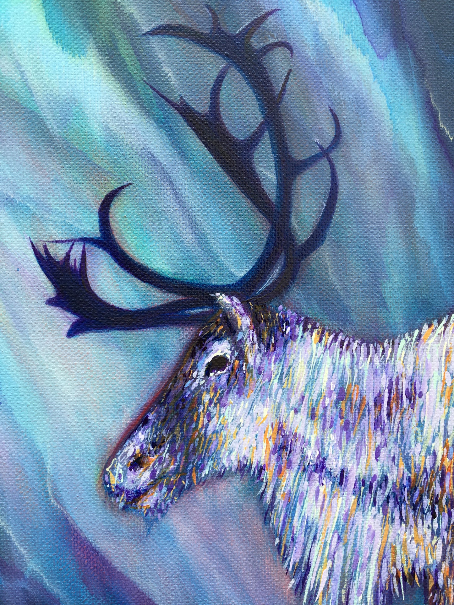 Aurora Borealis Caribou