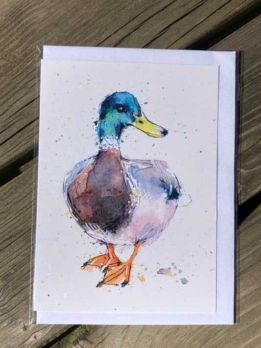 A6 Greetings card Duck with White envelope