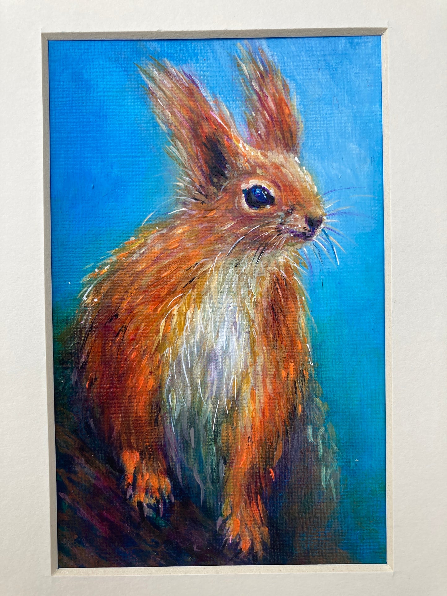 Red Squirrel perched