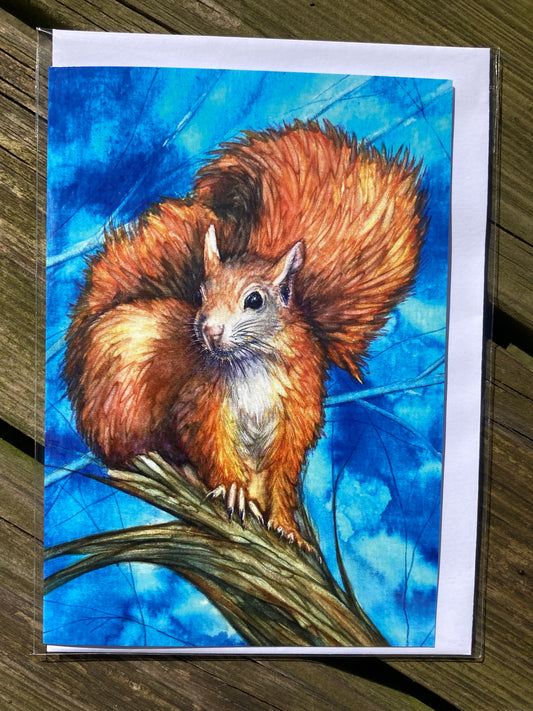 A6 Greetings card squirrel with White  envelope