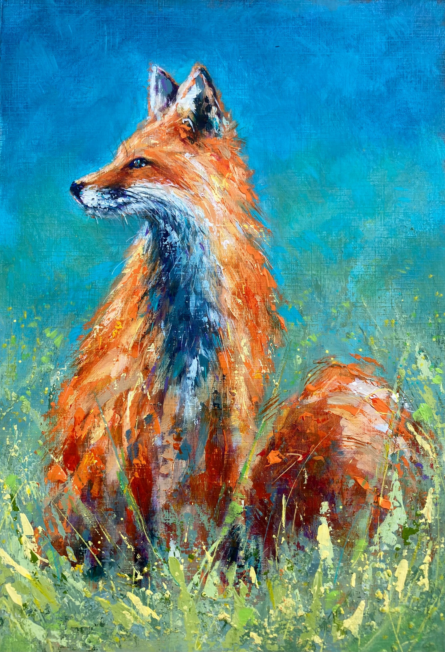 Fox in The meadow