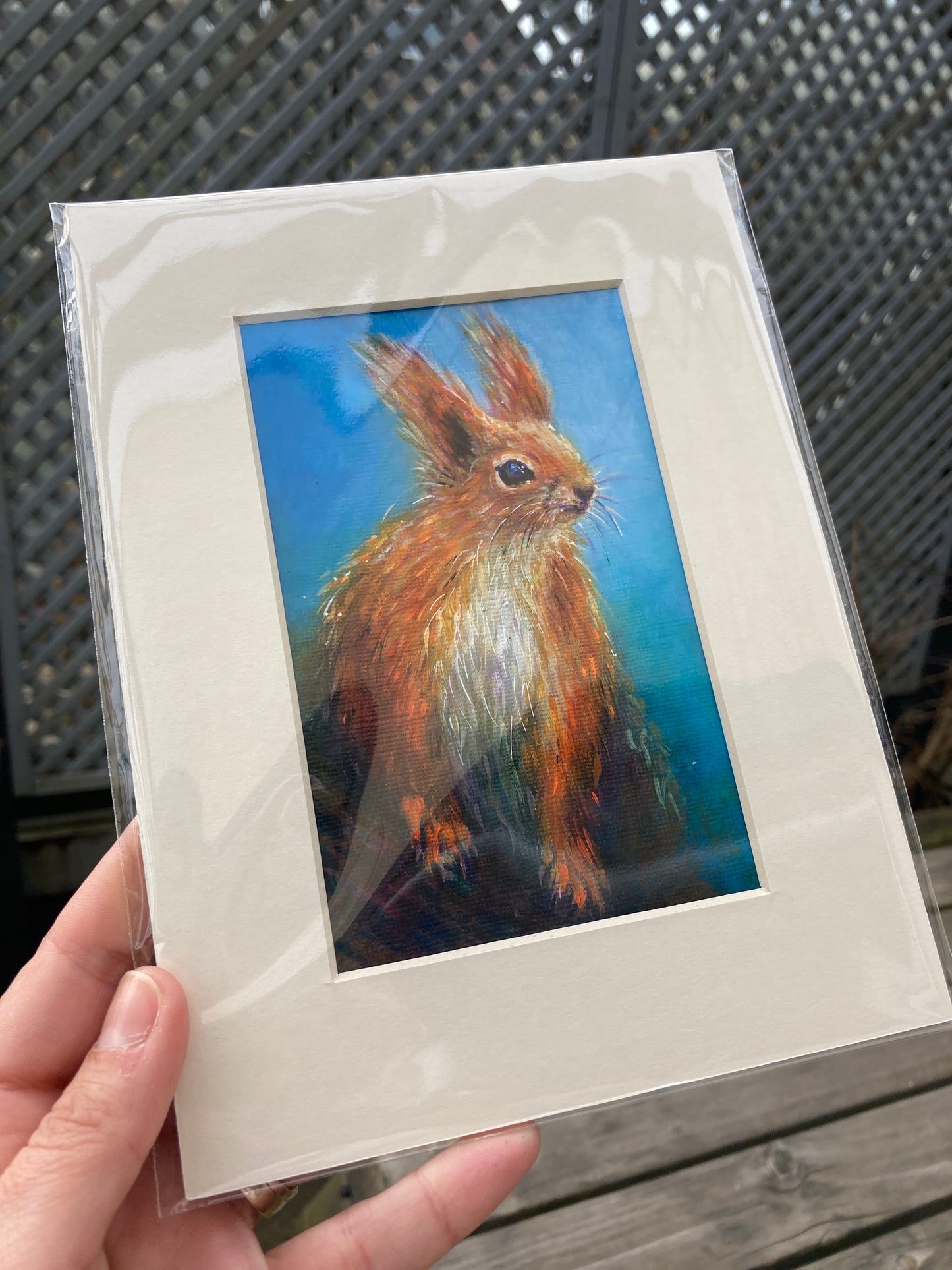 Red Squirrel perched