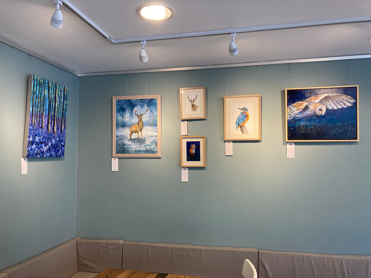 Riverside Royal (Kingfisher)