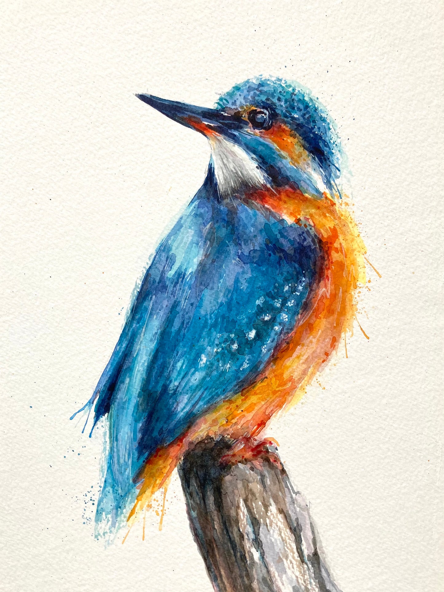 Riverside Royal (Kingfisher)