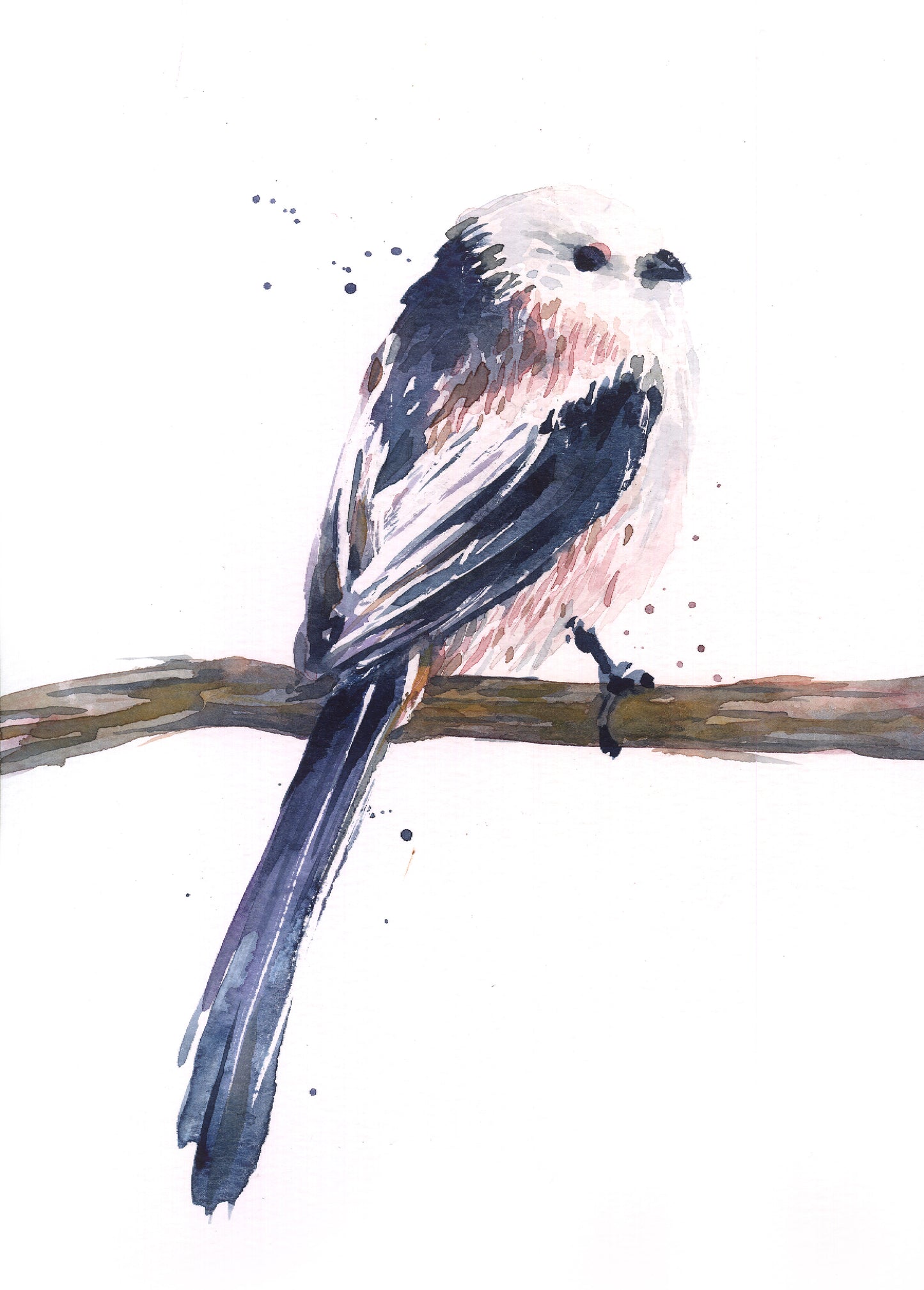 February10 Long TailedTit
