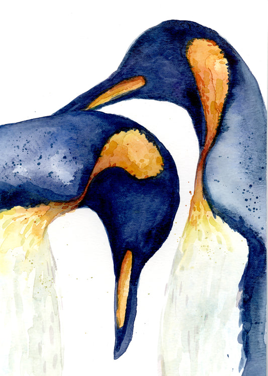 February14 King Penguin Pair