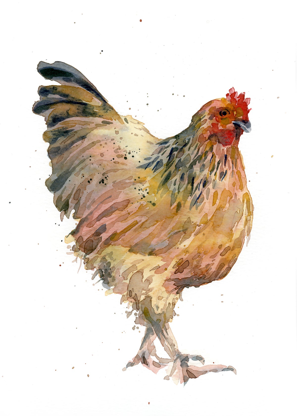 February09 Hen