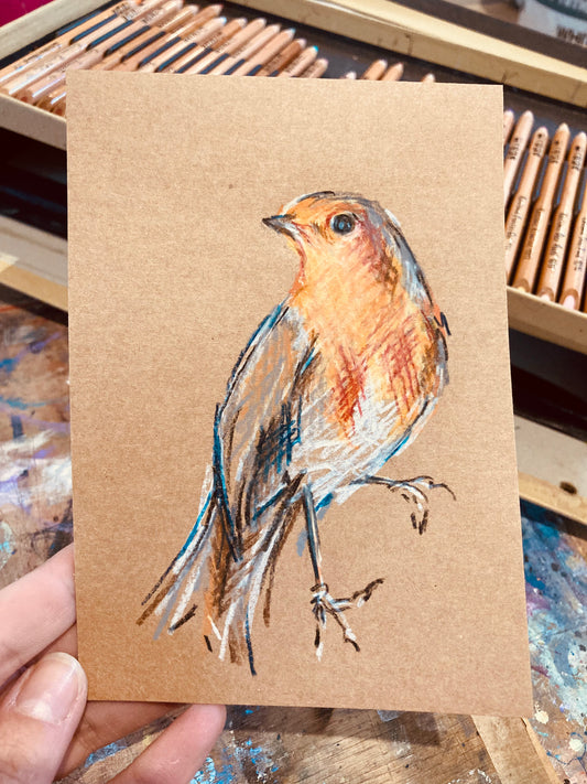 Drawing of Red Robin