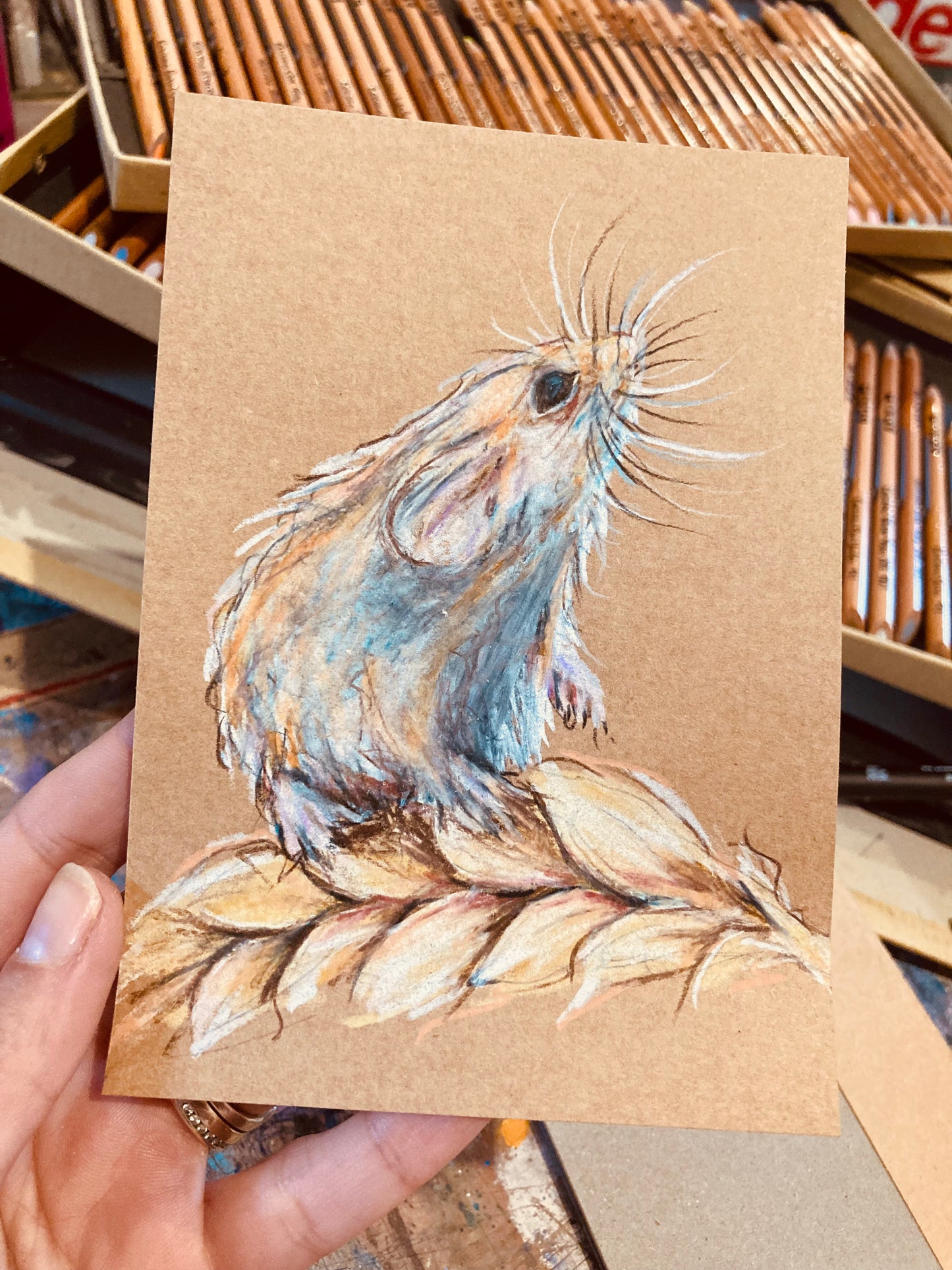 Drawing of A little field Mouse