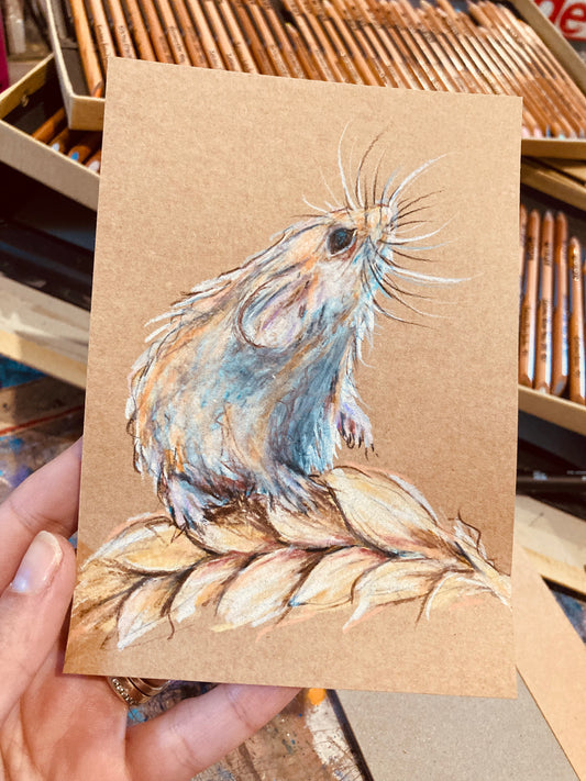 Drawing of A little field Mouse