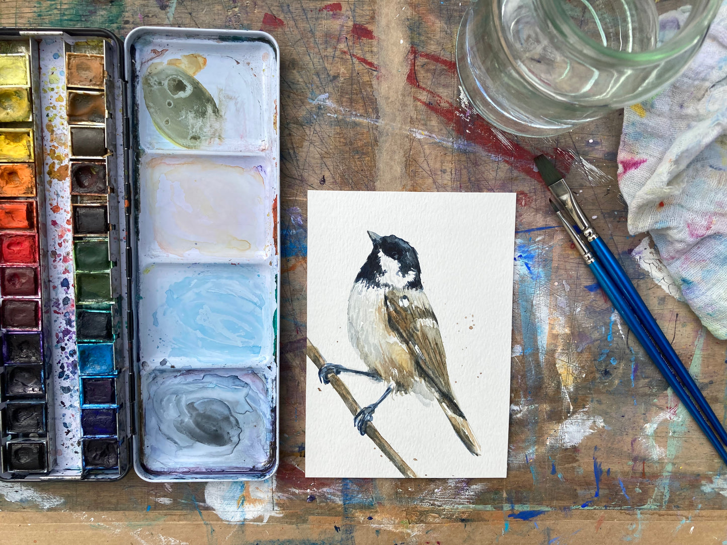 February28 Coal Tit
