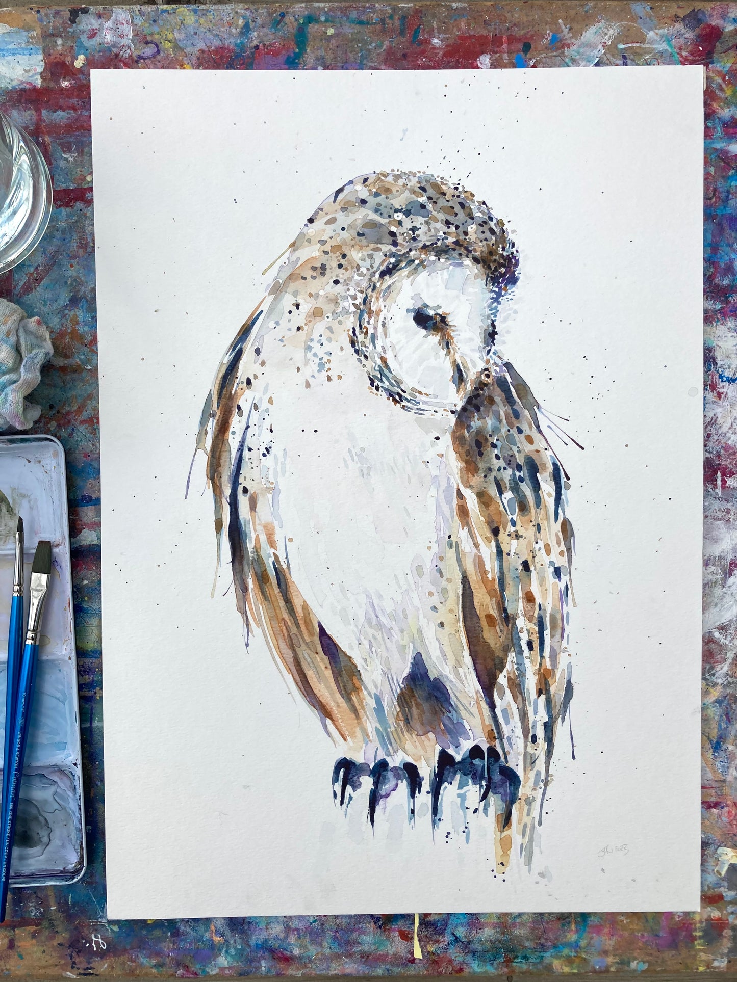 February01 Barn Owl