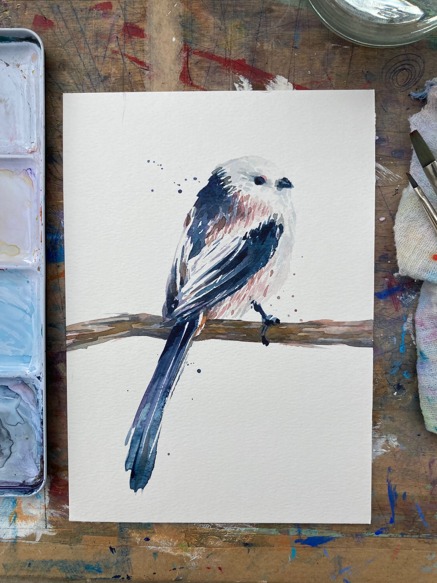 February10 Long TailedTit