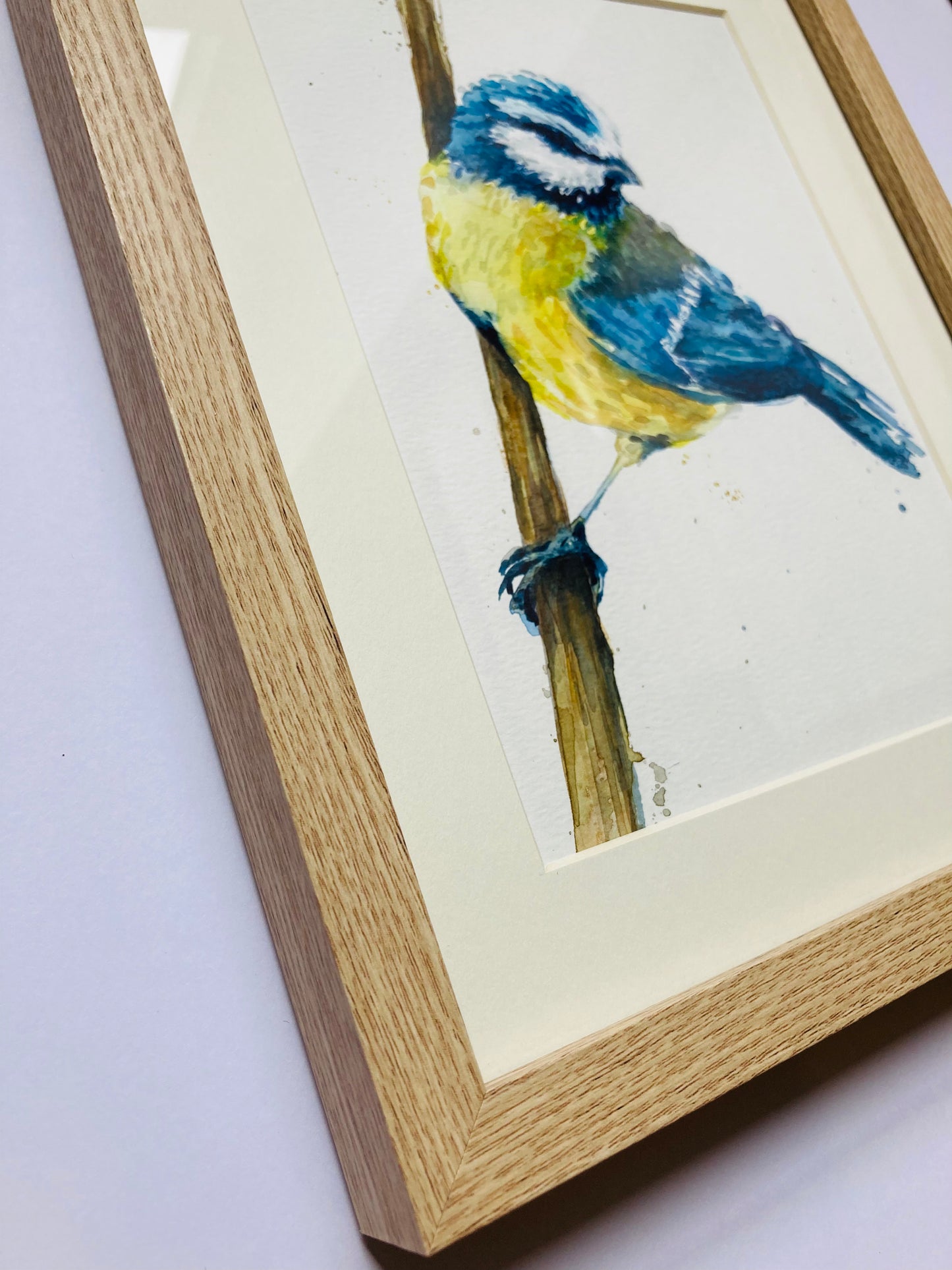 February12 Blue Tit