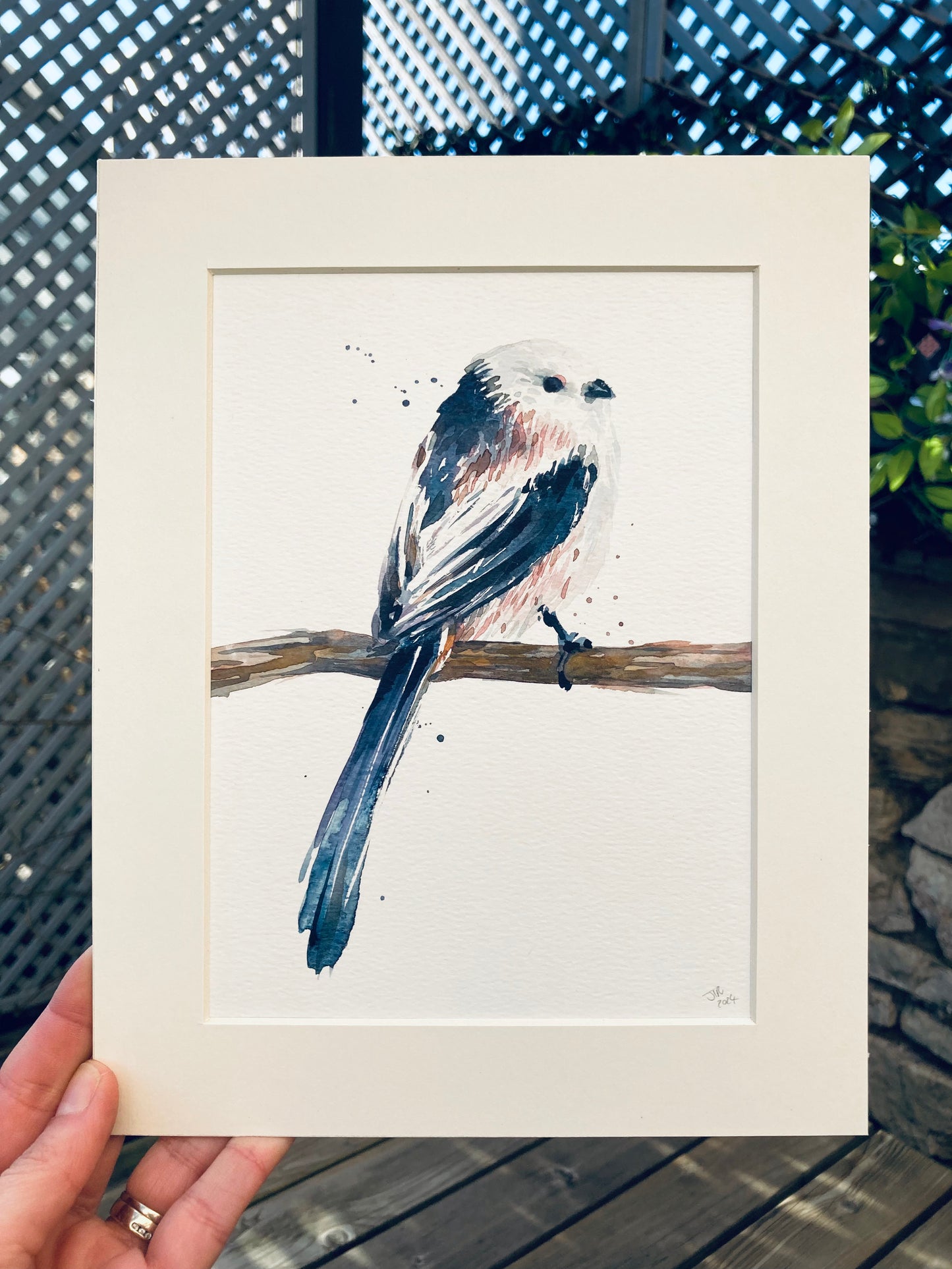 February10 Long TailedTit