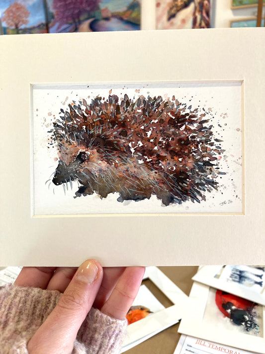 A little Hedgehog watercolour