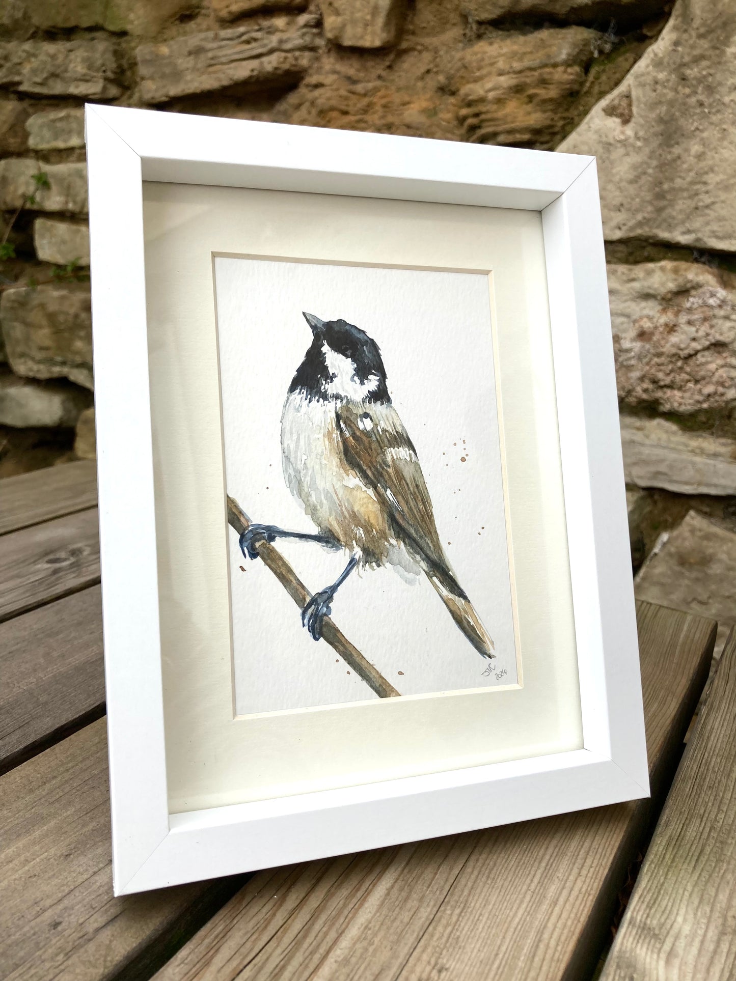 February28 Coal Tit