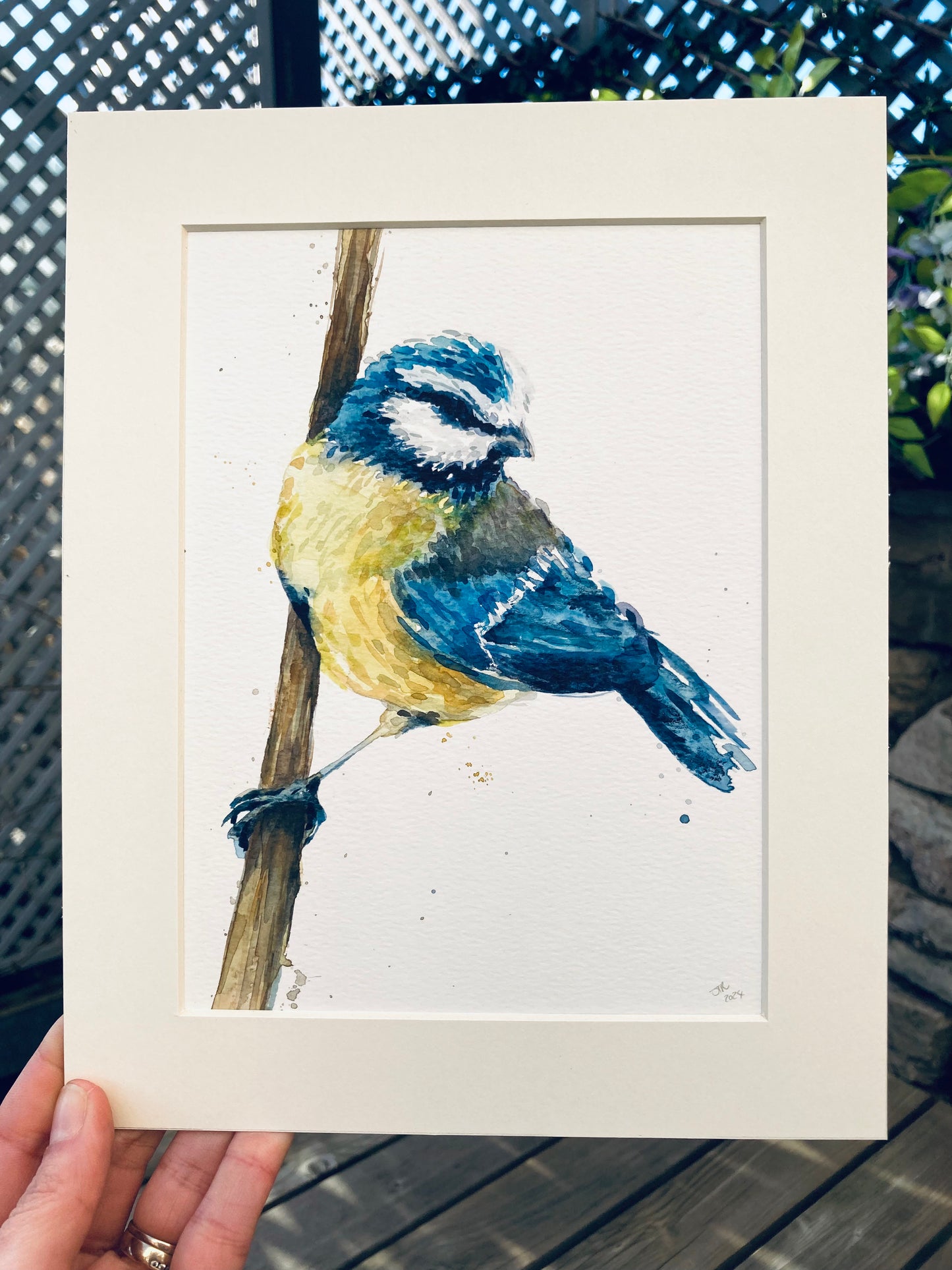 February12 Blue Tit