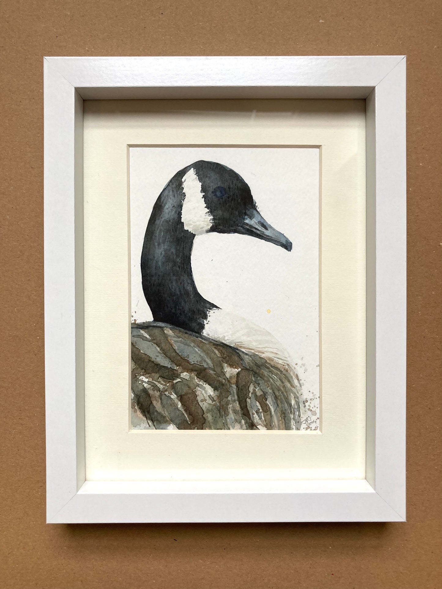 February24 Canadian Goose