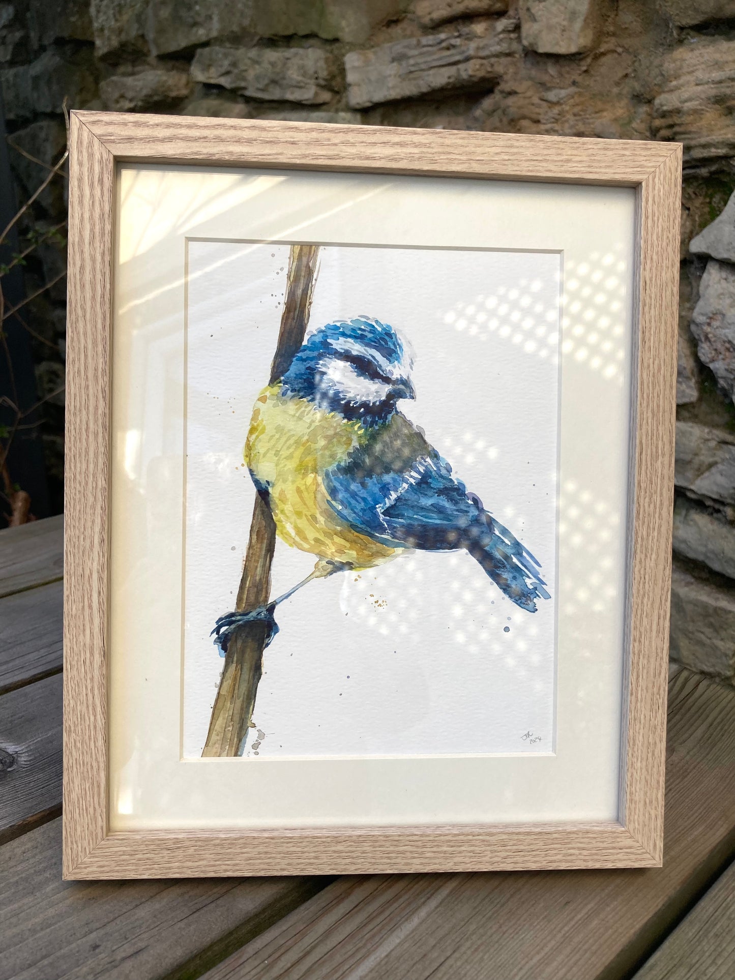 February12 Blue Tit