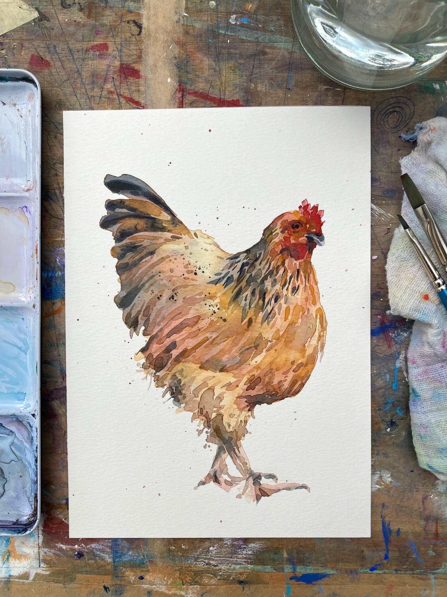 February09 Hen