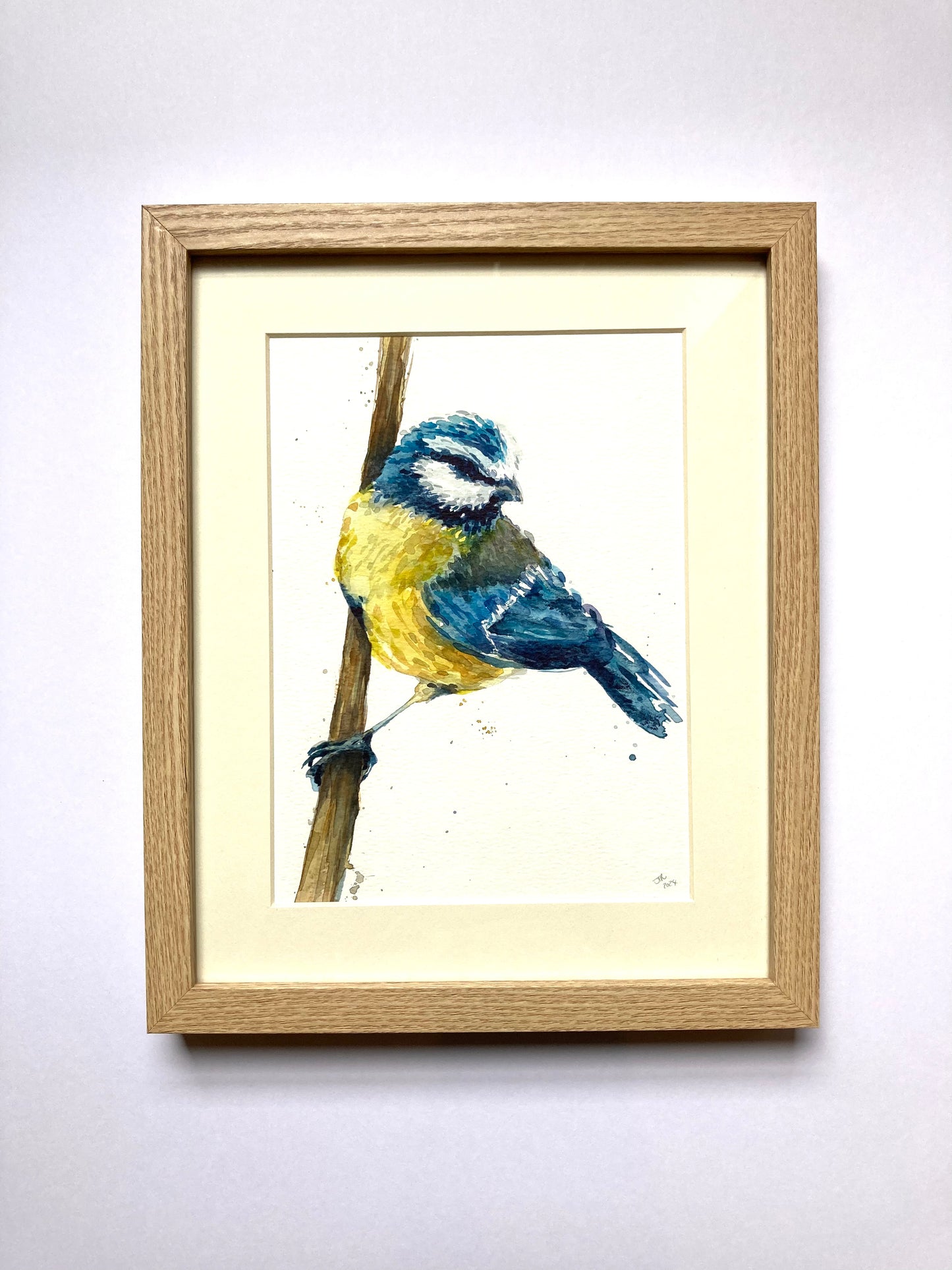 February12 Blue Tit