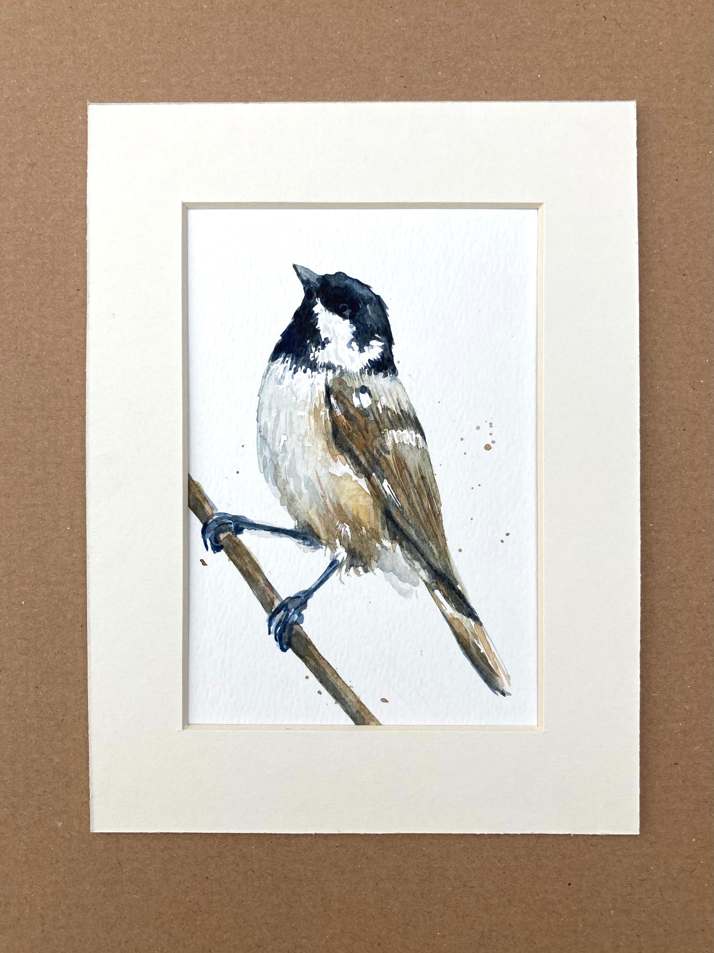 February28 Coal Tit