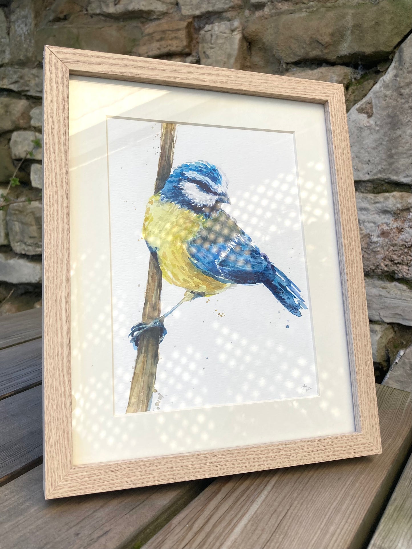 February12 Blue Tit