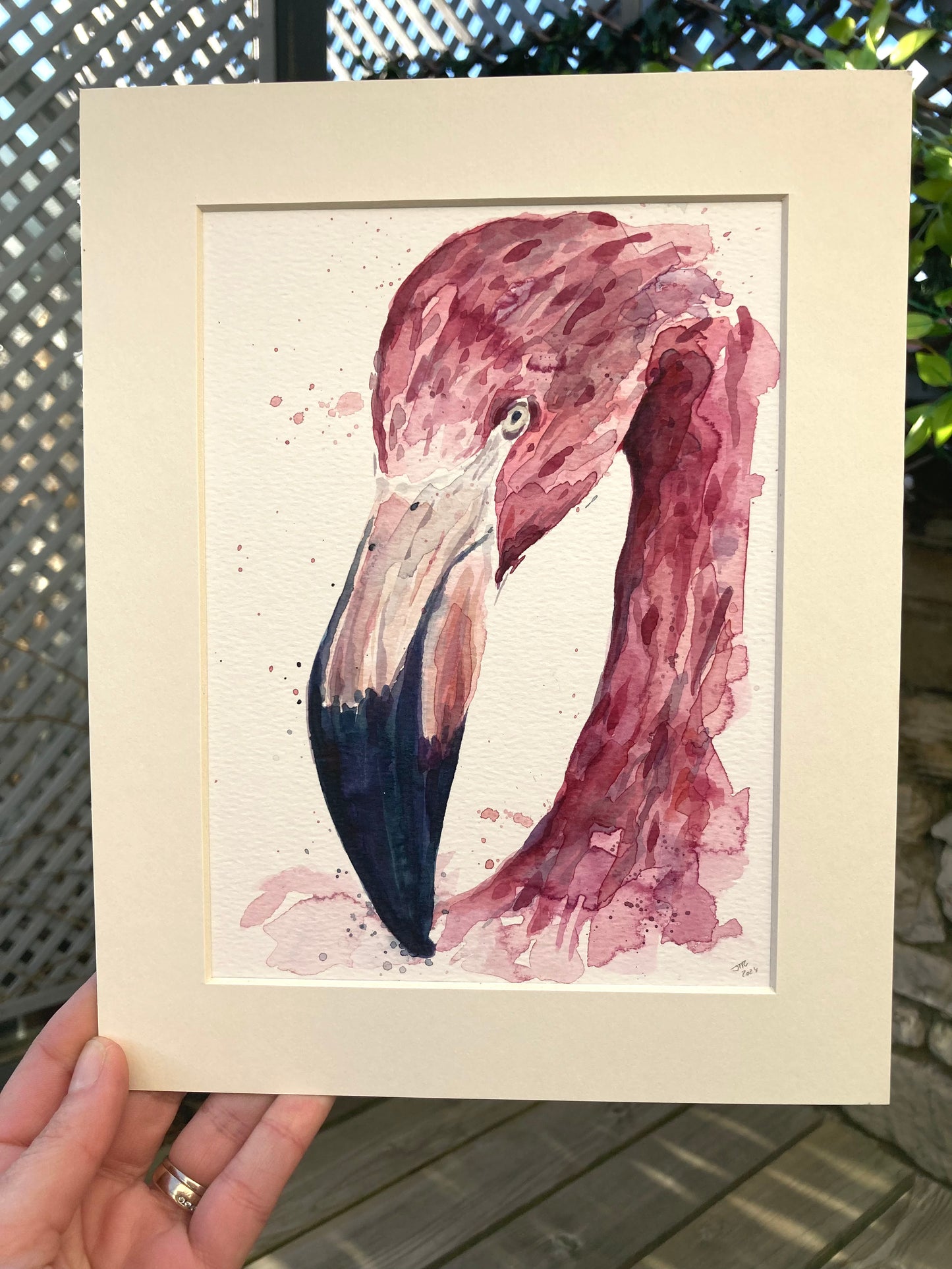 February19 Flamingo