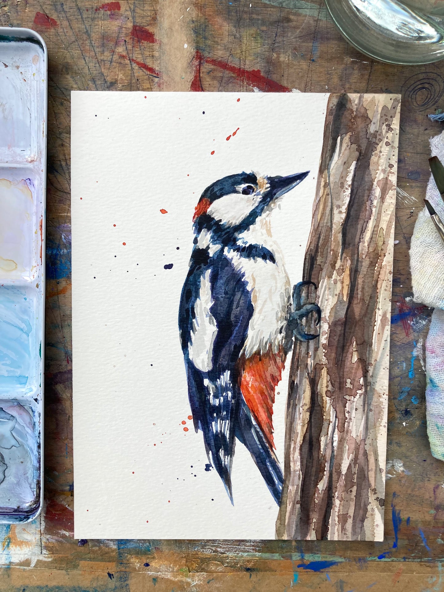 February20 Woodpecker
