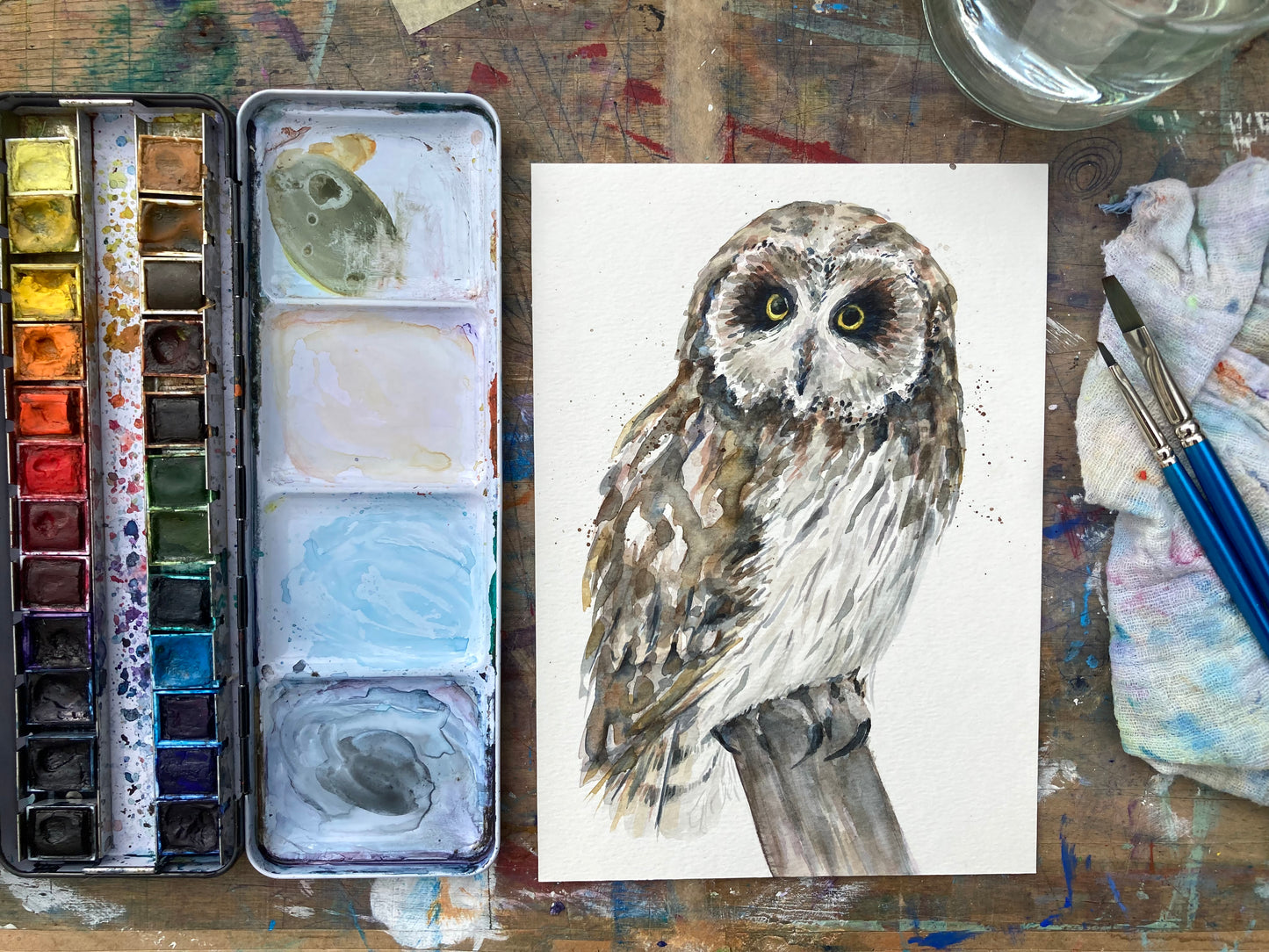 February27 Short Eared Owl