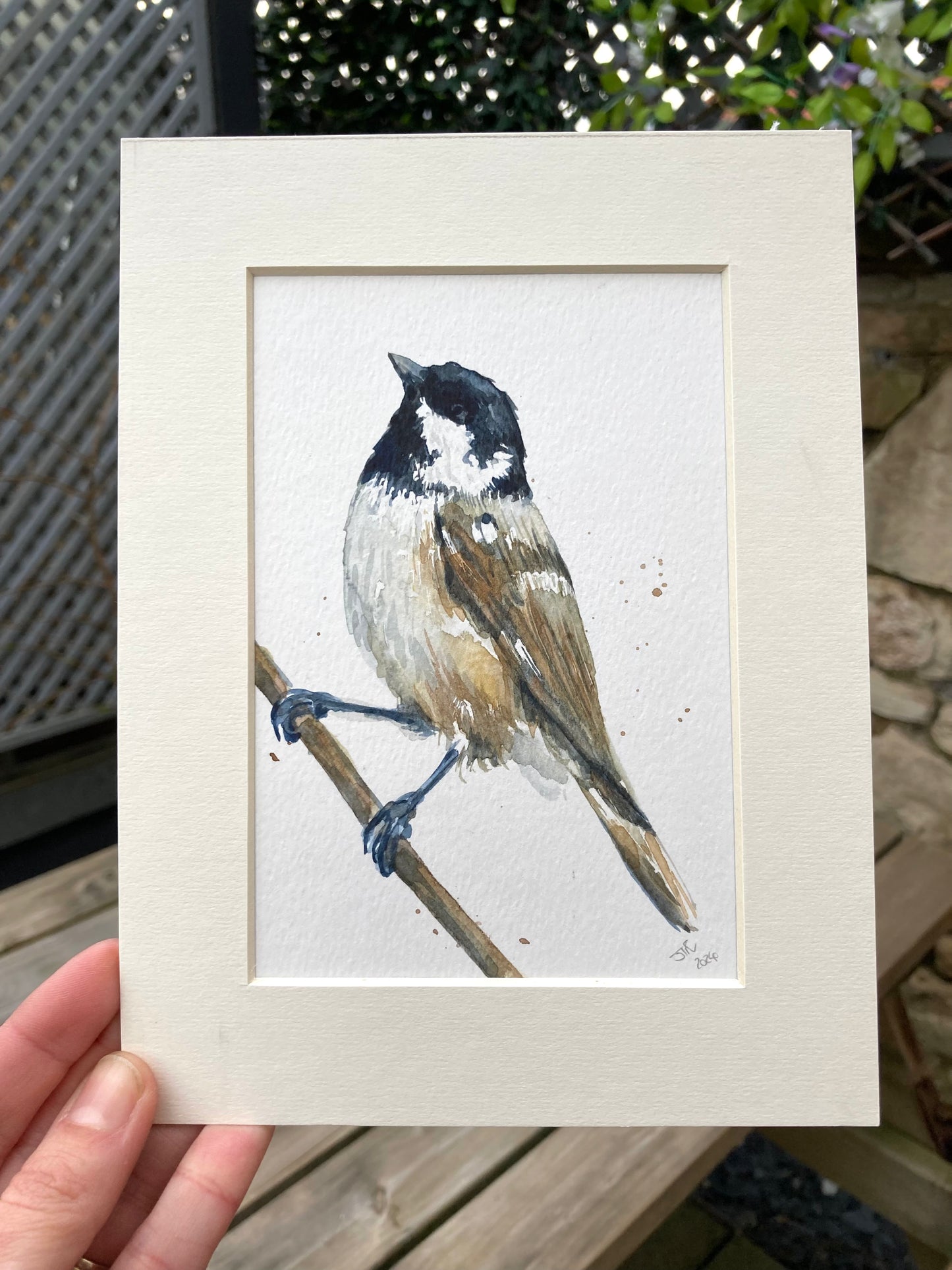 February28 Coal Tit