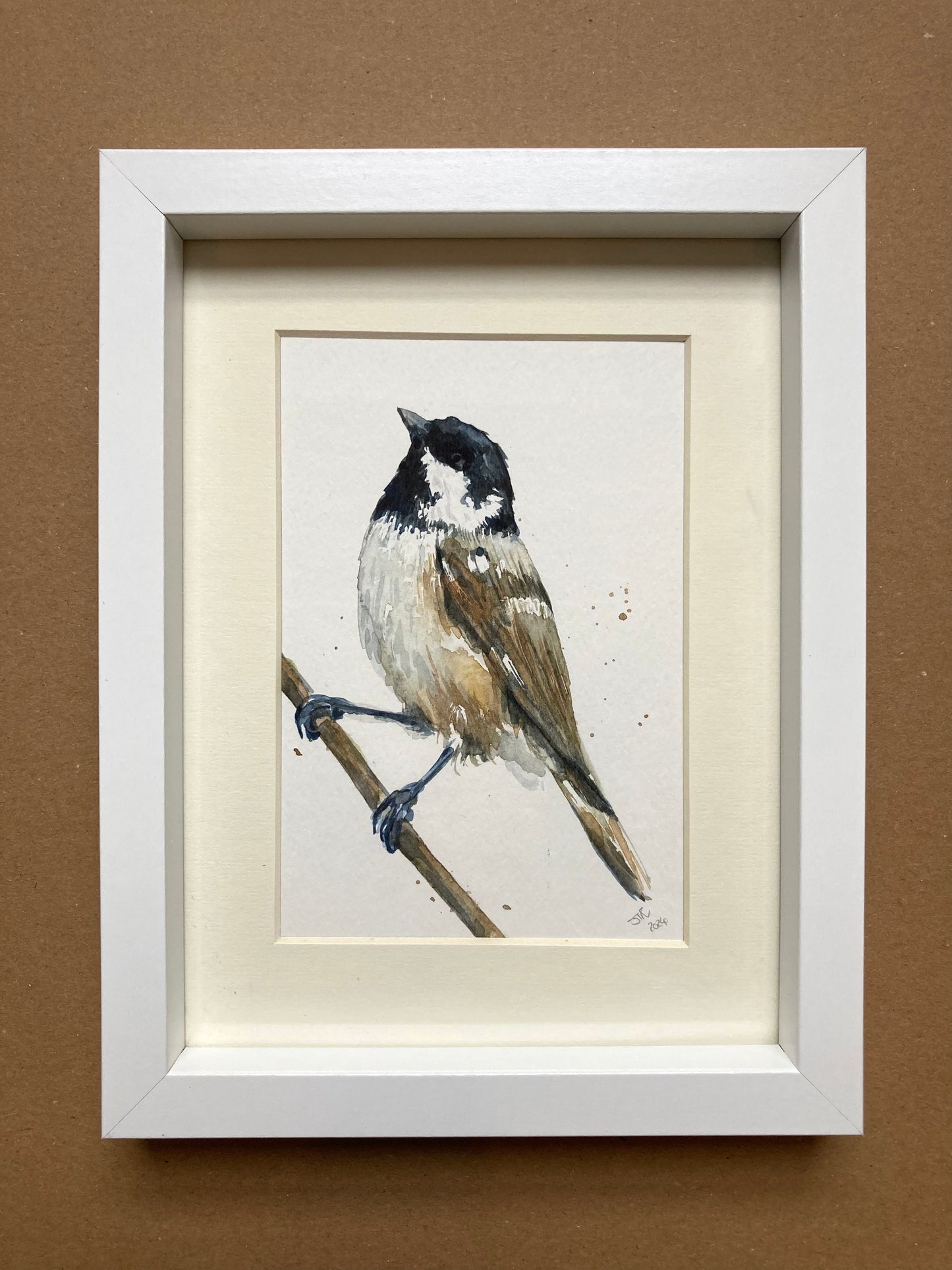 February28 Coal Tit