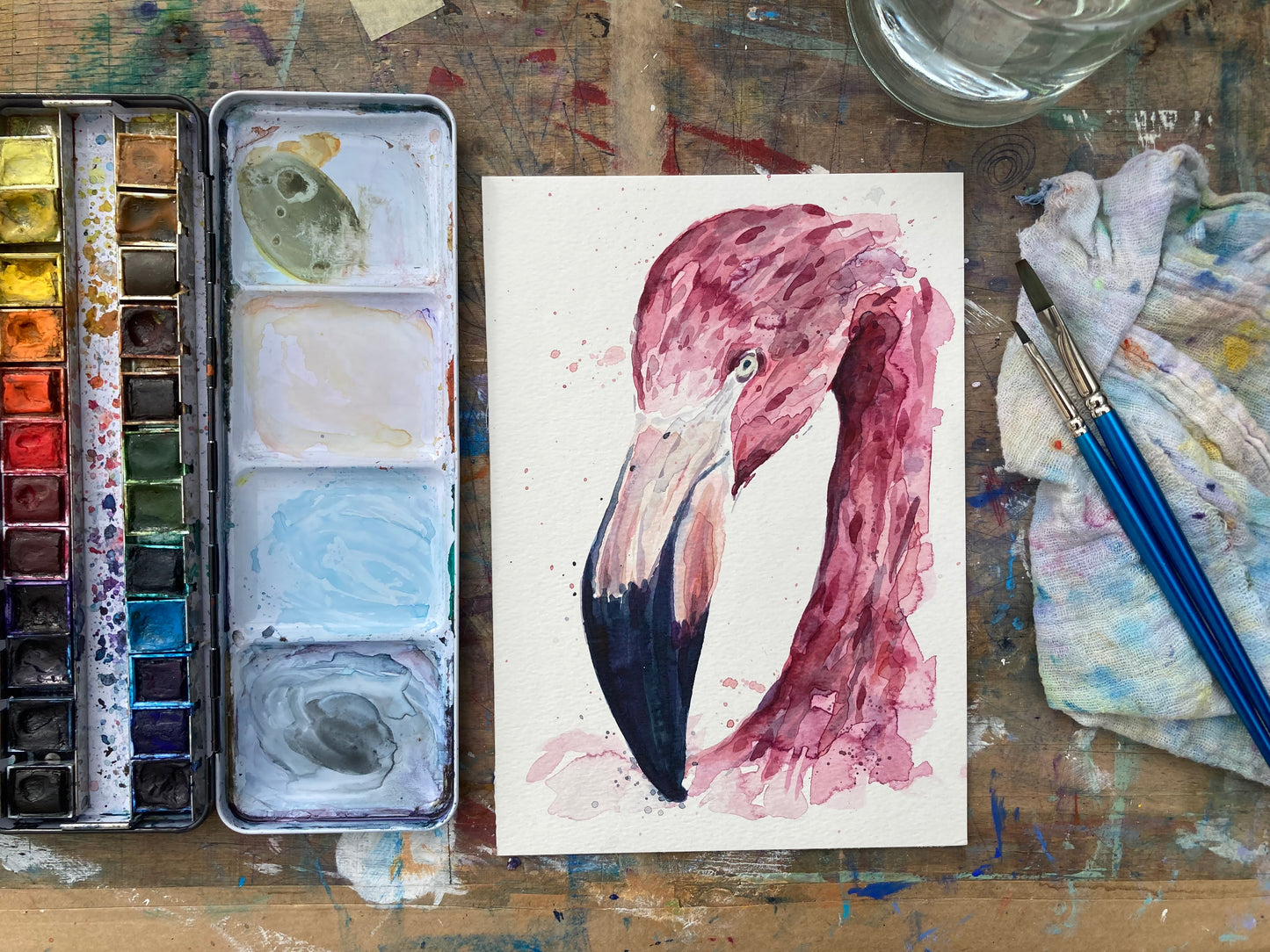 February19 Flamingo
